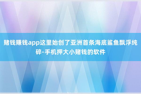 赌钱赚钱app这里始创了亚洲首条海底鲨鱼飘浮纯碎-手机押大小赌钱的软件