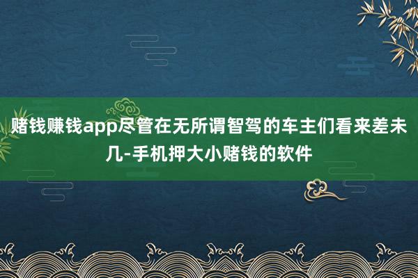赌钱赚钱app尽管在无所谓智驾的车主们看来差未几-手机押大小赌钱的软件