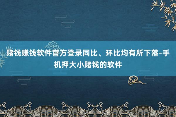 赌钱赚钱软件官方登录同比、环比均有所下落-手机押大小赌钱的软件