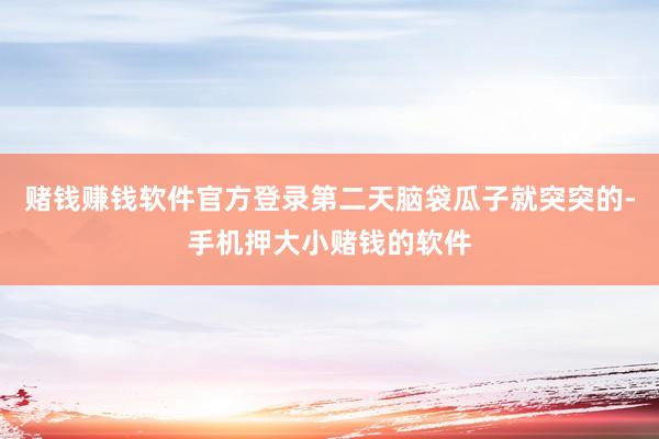 赌钱赚钱软件官方登录第二天脑袋瓜子就突突的-手机押大小赌钱的软件