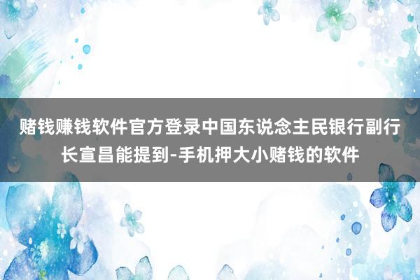 赌钱赚钱软件官方登录　中国东说念主民银行副行长宣昌能提到-手机押大小赌钱的软件