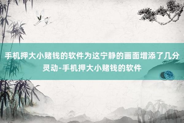 手机押大小赌钱的软件为这宁静的画面增添了几分灵动-手机押大小赌钱的软件