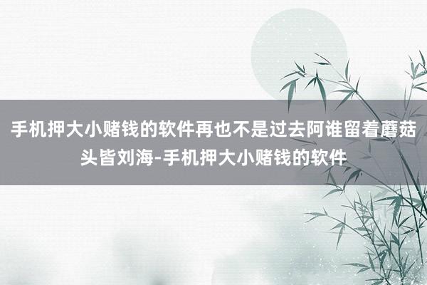 手机押大小赌钱的软件再也不是过去阿谁留着蘑菇头皆刘海-手机押大小赌钱的软件