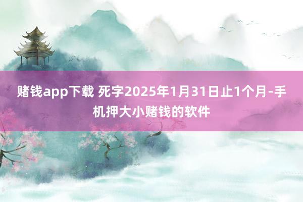 赌钱app下载 死字2025年1月31日止1个月-手机押大小赌钱的软件