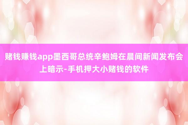 赌钱赚钱app墨西哥总统辛鲍姆在晨间新闻发布会上暗示-手机押大小赌钱的软件