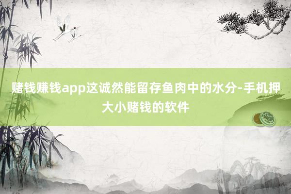 赌钱赚钱app这诚然能留存鱼肉中的水分-手机押大小赌钱的软件