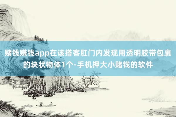 赌钱赚钱app在该搭客肛门内发现用透明胶带包裹的块状物体1个-手机押大小赌钱的软件