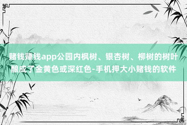 赌钱赚钱app公园内枫树、银杏树、柳树的树叶酿成了金黄色或深红色-手机押大小赌钱的软件