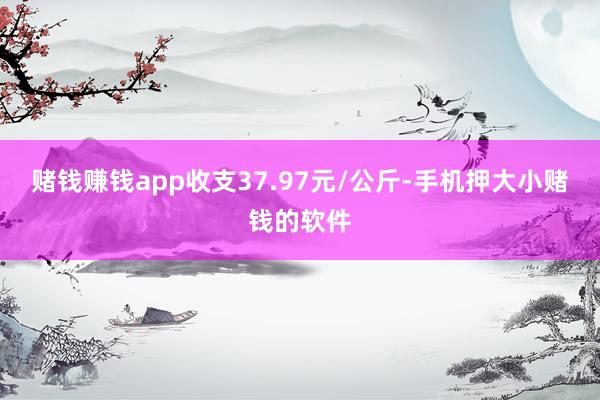 赌钱赚钱app收支37.97元/公斤-手机押大小赌钱的软件