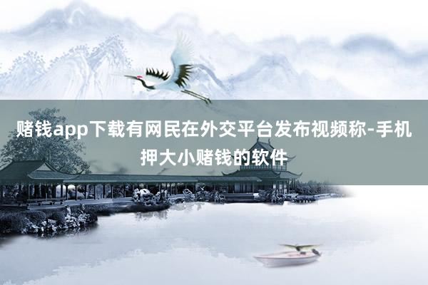 赌钱app下载有网民在外交平台发布视频称-手机押大小赌钱的软件