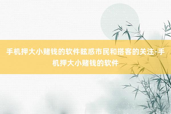 手机押大小赌钱的软件眩惑市民和搭客的关注-手机押大小赌钱的软件