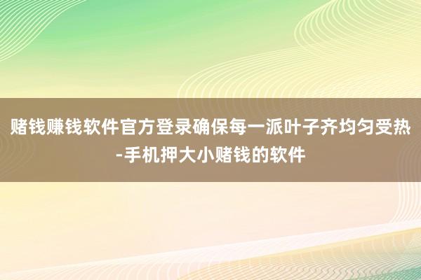 赌钱赚钱软件官方登录确保每一派叶子齐均匀受热-手机押大小赌钱的软件
