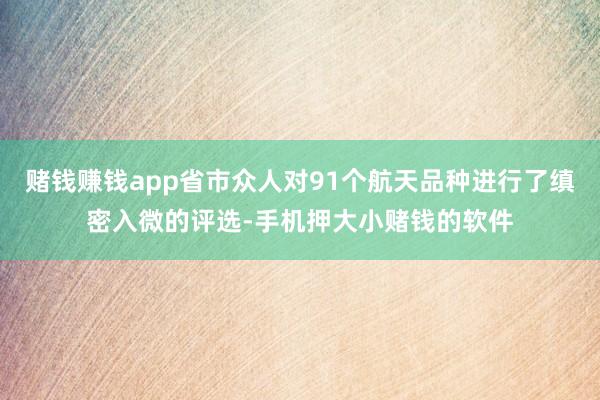 赌钱赚钱app省市众人对91个航天品种进行了缜密入微的评选-手机押大小赌钱的软件