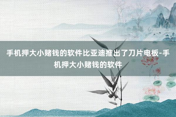 手机押大小赌钱的软件比亚迪推出了刀片电板-手机押大小赌钱的软件