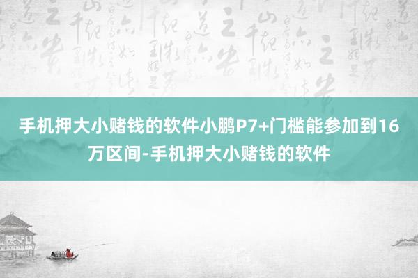 手机押大小赌钱的软件小鹏P7+门槛能参加到16万区间-手机押大小赌钱的软件