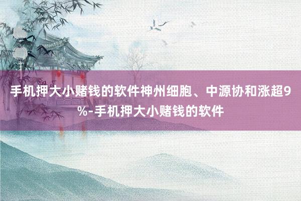 手机押大小赌钱的软件神州细胞、中源协和涨超9%-手机押大小赌钱的软件