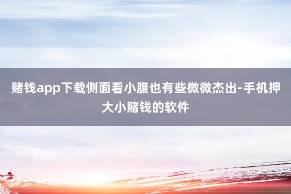 赌钱app下载侧面看小腹也有些微微杰出-手机押大小赌钱的软件