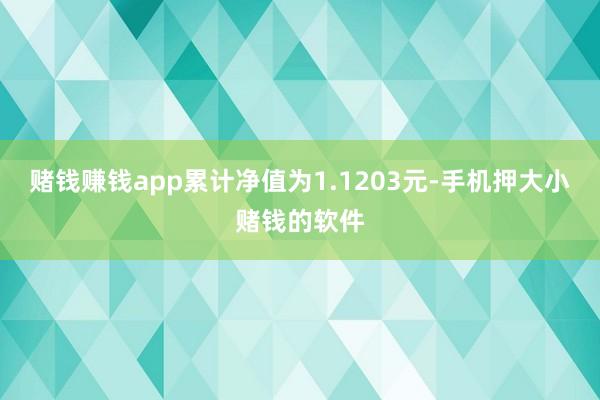 赌钱赚钱app累计净值为1.1203元-手机押大小赌钱的软件
