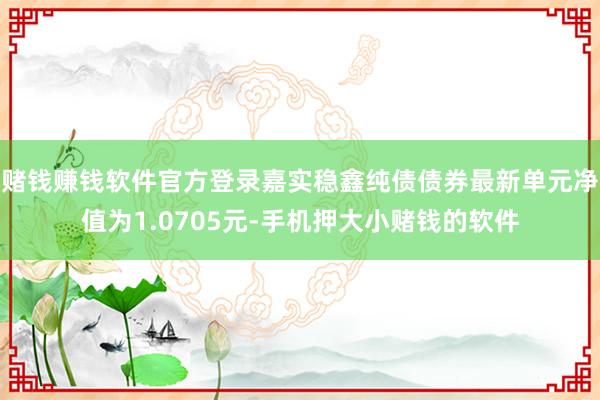 赌钱赚钱软件官方登录嘉实稳鑫纯债债券最新单元净值为1.0705元-手机押大小赌钱的软件