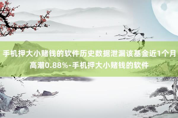 手机押大小赌钱的软件历史数据泄漏该基金近1个月高潮0.88%-手机押大小赌钱的软件