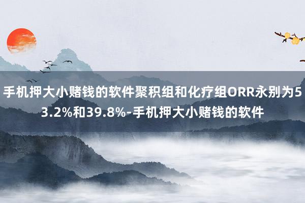 手机押大小赌钱的软件聚积组和化疗组ORR永别为53.2%和39.8%-手机押大小赌钱的软件