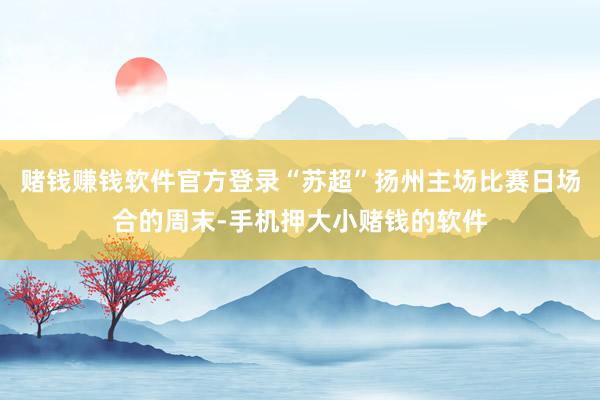赌钱赚钱软件官方登录“苏超”扬州主场比赛日场合的周末-手机押大小赌钱的软件