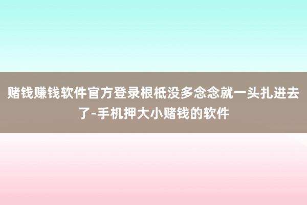 赌钱赚钱软件官方登录根柢没多念念就一头扎进去了-手机押大小赌钱的软件