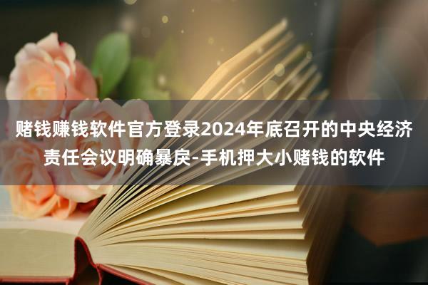 赌钱赚钱软件官方登录2024年底召开的中央经济责任会议明确暴戾-手机押大小赌钱的软件