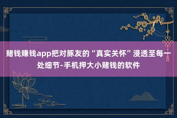 赌钱赚钱app把对豚友的“真实关怀”浸透至每一处细节-手机押大小赌钱的软件