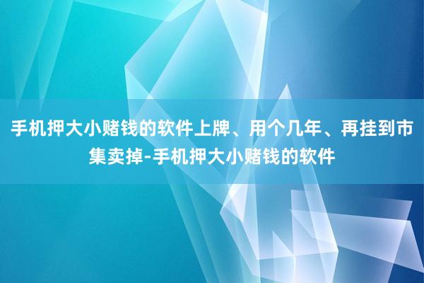手机押大小赌钱的软件上牌、用个几年、再挂到市集卖掉-手机押大小赌钱的软件
