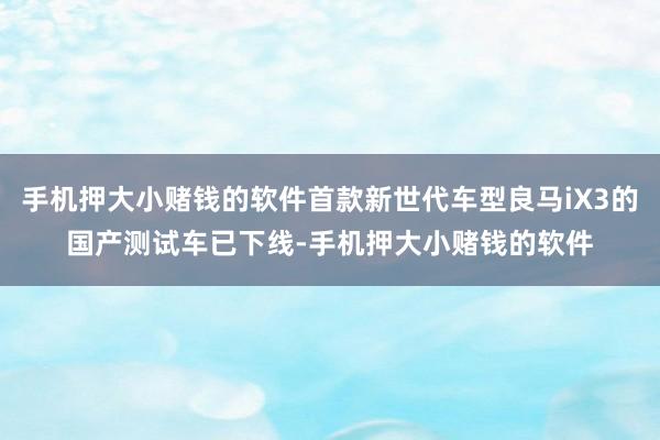 手机押大小赌钱的软件首款新世代车型良马iX3的国产测试车已下线-手机押大小赌钱的软件