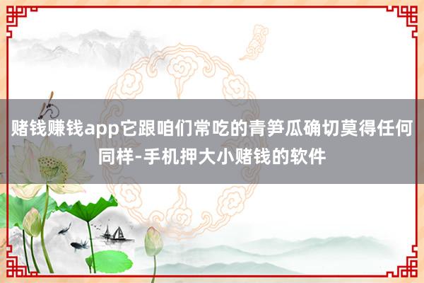赌钱赚钱app它跟咱们常吃的青笋瓜确切莫得任何同样-手机押大小赌钱的软件