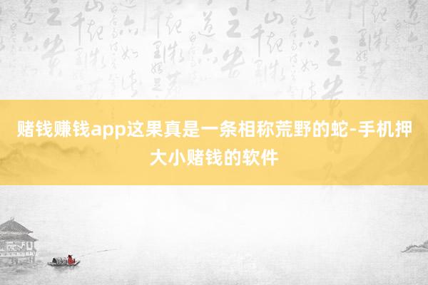 赌钱赚钱app这果真是一条相称荒野的蛇-手机押大小赌钱的软件
