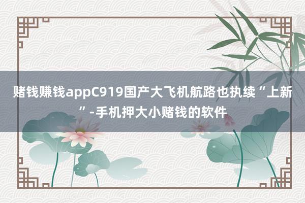 赌钱赚钱appC919国产大飞机航路也执续“上新”-手机押大小赌钱的软件