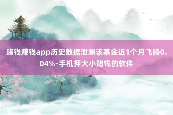 赌钱赚钱app历史数据泄漏该基金近1个月飞腾0.04%-手机押大小赌钱的软件
