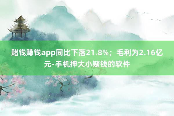 赌钱赚钱app同比下落21.8%；毛利为2.16亿元-手机押大小赌钱的软件