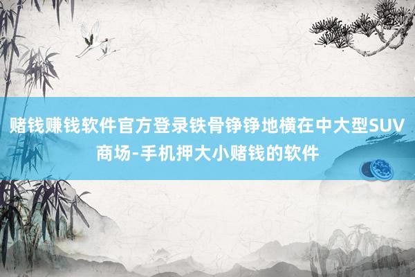 赌钱赚钱软件官方登录铁骨铮铮地横在中大型SUV商场-手机押大小赌钱的软件