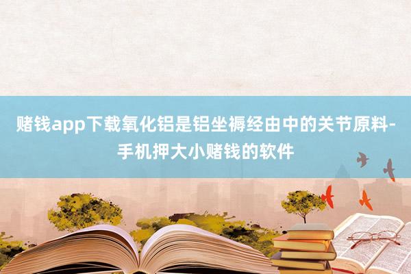 赌钱app下载氧化铝是铝坐褥经由中的关节原料-手机押大小赌钱的软件