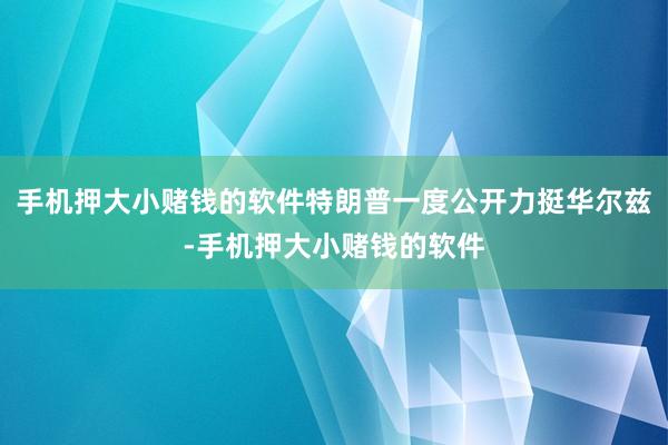 手机押大小赌钱的软件特朗普一度公开力挺华尔兹-手机押大小赌钱的软件