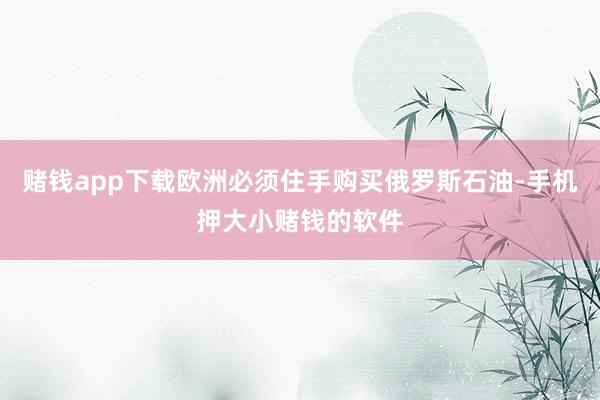 赌钱app下载欧洲必须住手购买俄罗斯石油-手机押大小赌钱的软件