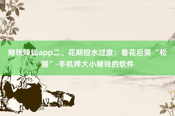赌钱赚钱app二、花期控水过度：着花后需 “松捆”-手机押大小赌钱的软件
