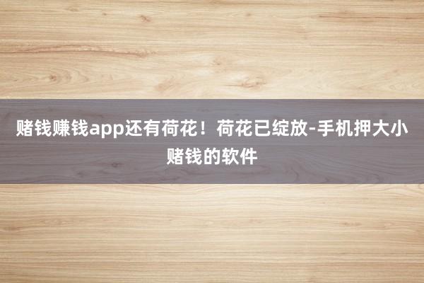 赌钱赚钱app还有荷花！荷花已绽放-手机押大小赌钱的软件