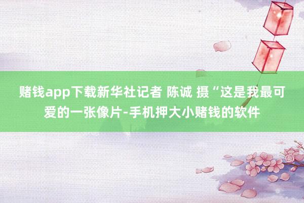 赌钱app下载新华社记者 陈诚 摄　　“这是我最可爱的一张像片-手机押大小赌钱的软件