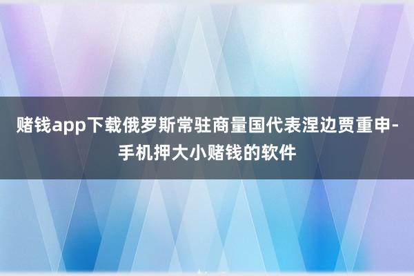 赌钱app下载俄罗斯常驻商量国代表涅边贾重申-手机押大小赌钱的软件
