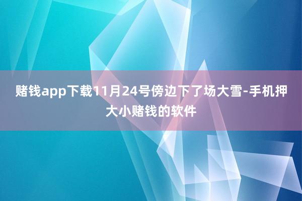赌钱app下载11月24号傍边下了场大雪-手机押大小赌钱的软件