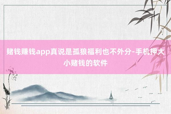赌钱赚钱app真说是孤狼福利也不外分-手机押大小赌钱的软件