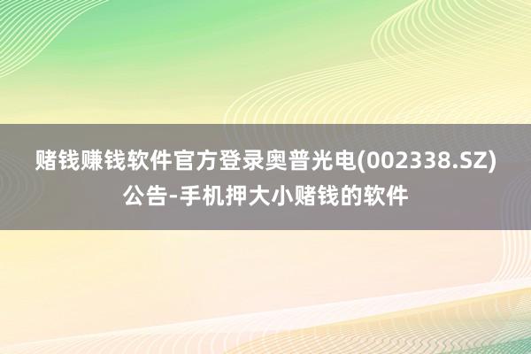 赌钱赚钱软件官方登录奥普光电(002338.SZ)公告-手机押大小赌钱的软件