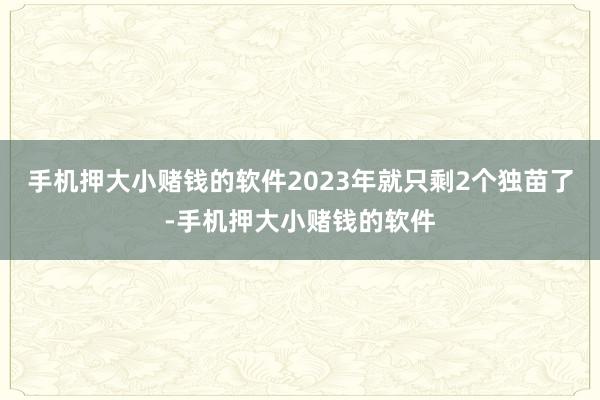 手机押大小赌钱的软件2023年就只剩2个独苗了-手机押大小赌钱的软件