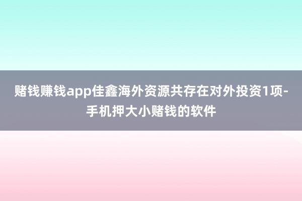 赌钱赚钱app佳鑫海外资源共存在对外投资1项-手机押大小赌钱的软件