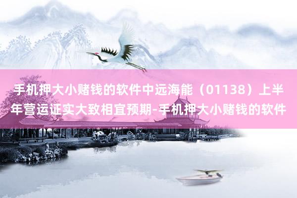 手机押大小赌钱的软件中远海能（01138）上半年营运证实大致相宜预期-手机押大小赌钱的软件